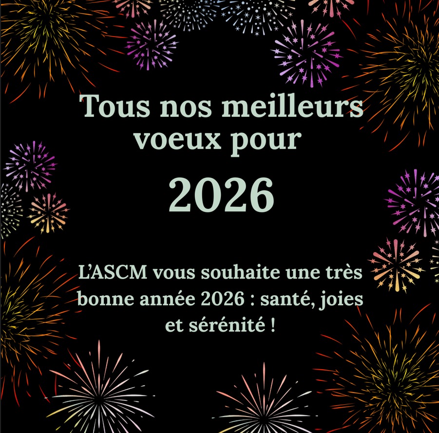 Meilleurs Vœux 2026